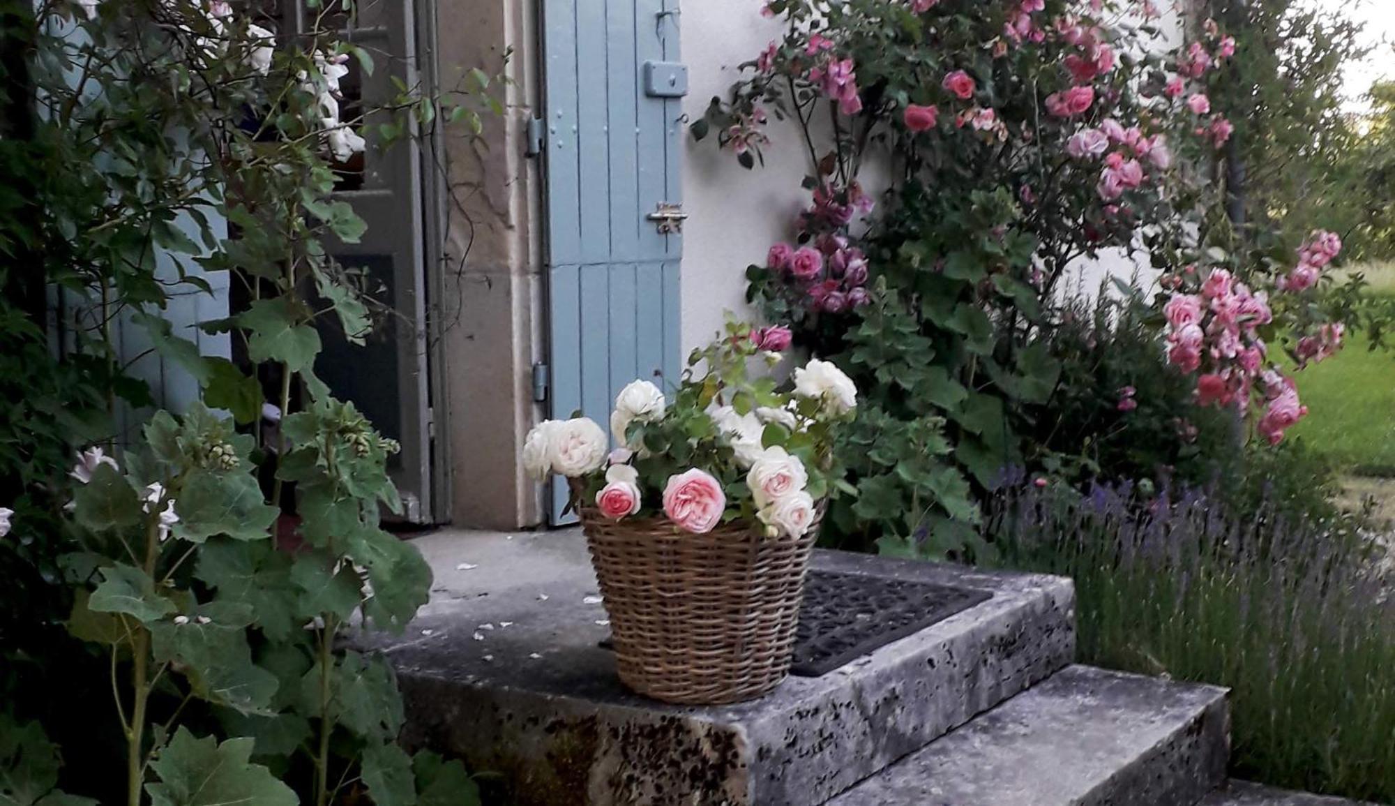 Le Manivert Vitry-Lache Εξωτερικό φωτογραφία